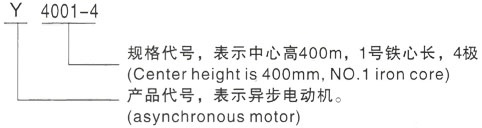 西安泰富西玛Y系列(H355-1000)高压Y6303-6/2000KW三相异步电机型号说明